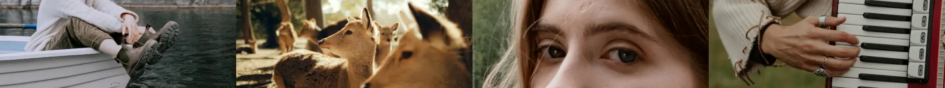 Footer Decoration Image